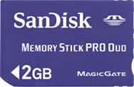 Sandisk Standard 2GB Memory Stick PRO Duo Card